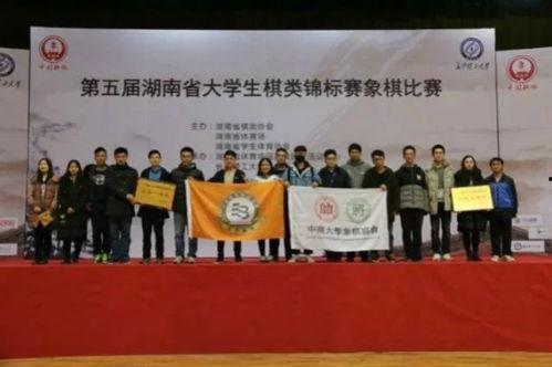 岳麓一小爆料新闻,校园新闻背后的故事